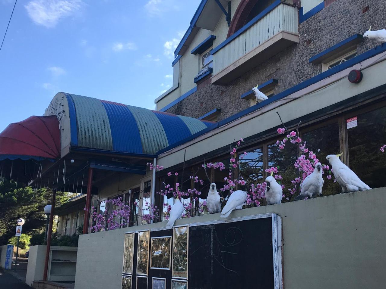 The Clarendon Motel Katoomba Exterior photo