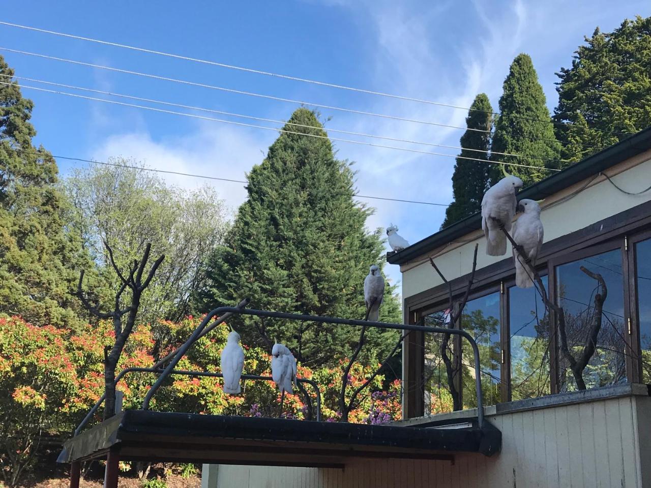 The Clarendon Motel Katoomba Exterior photo